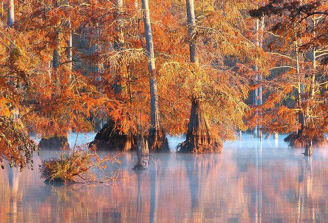 Noxubee Wildlife Refuge